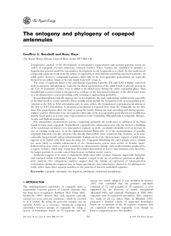 (PDF) The ontogeny and phylogeny of copepod antennules