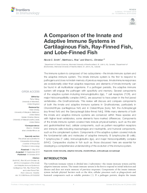 (PDF) A Comparison of the Innate and Adaptive Immune Systems in ...