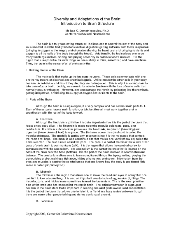 (PDF) Diversity and Adaptations of the Brain: Introduction to Brain ...