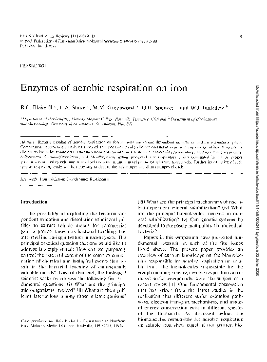 Aerobic respiration essay image