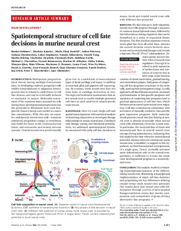 (PDF) Spatiotemporal structure of cell fate decisions in murine neural ...