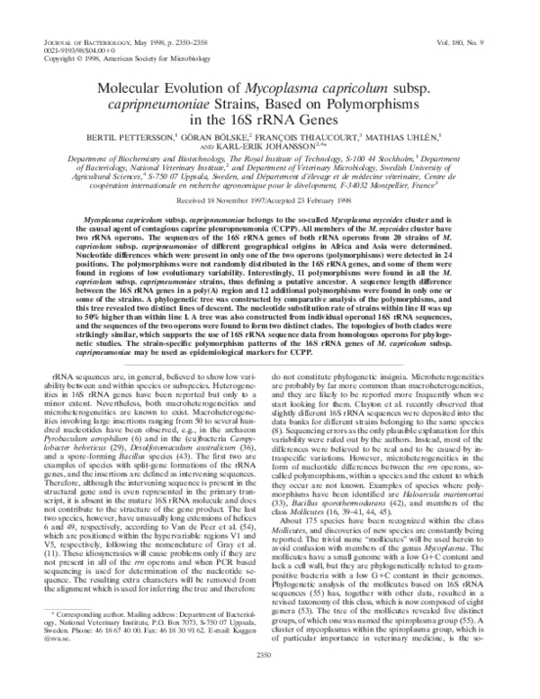 (PDF) Molecular evolution of Mycoplasma capricolum subsp ...