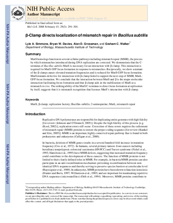 (PDF) Clamp Directs Localization of Mismatch Repair in Bacillus subtilis