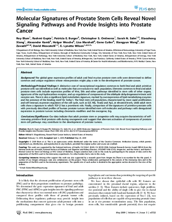 (PDF) Molecular Signatures of Prostate Stem Cells Reveal Novel ...