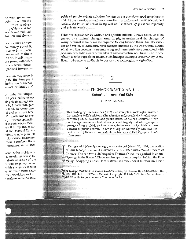 Teenage wasteland essay image