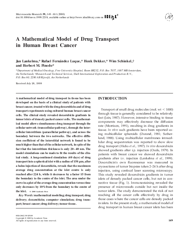 (PDF) A Mathematical Model of Drug Transport in Human Breast Cancer
