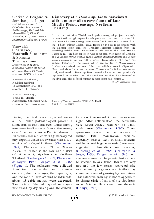 (PDF) Discovery of aHomosp. tooth associated with a mammalian cave ...