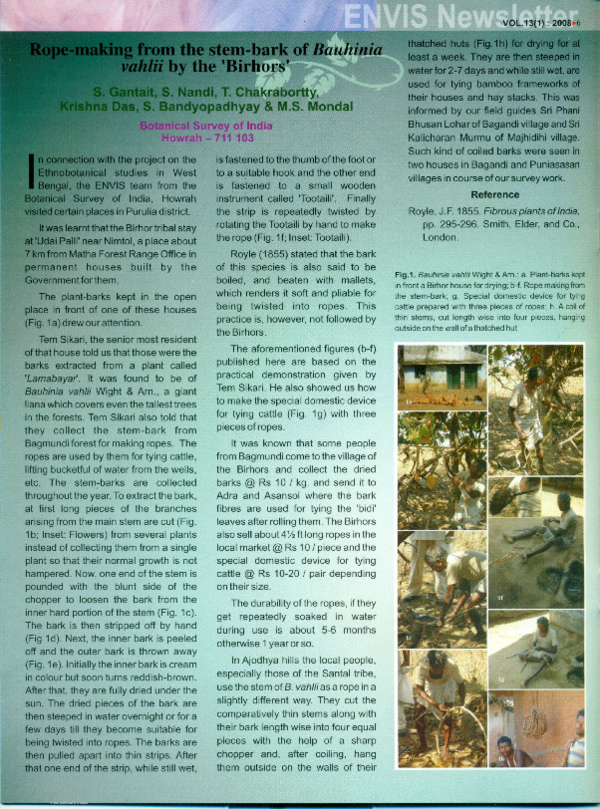 (PDF) Rope-making from the stem-bark of Bauhinia vahlii by the ‘Birhors’