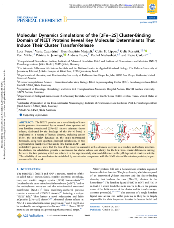 (PDF) Molecular Dynamics Simulations of the [2Fe-2S] Cluster-Binding ...
