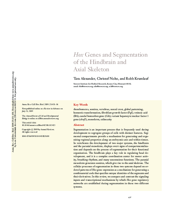 (PDF) Hox Genes and Segmentation of the Hindbrain and Axial Skeleton