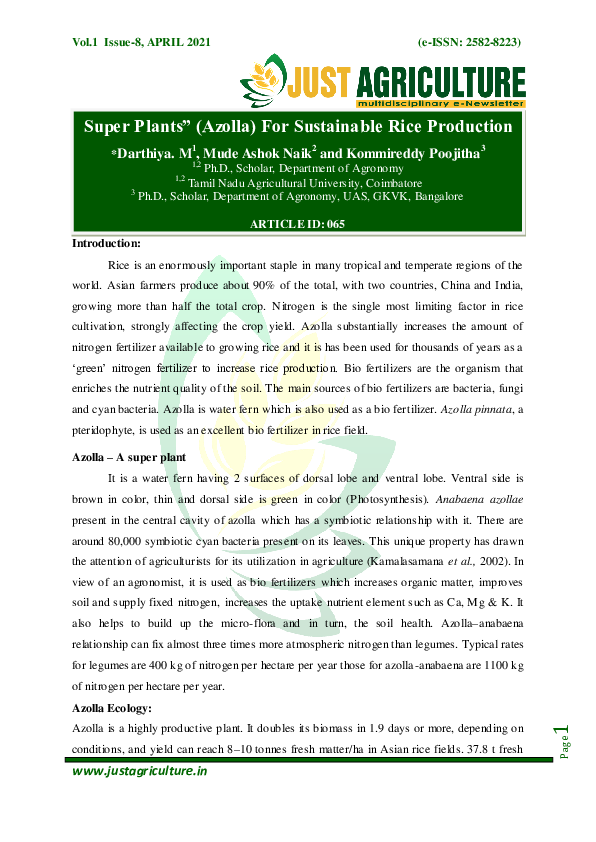 (PDF) Super Plants Azolla For Sustainable Rice Production M. Darthiya