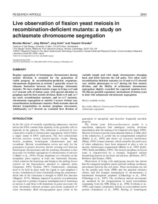 (PDF) Live observation of fission yeast meiosis in recombination ...