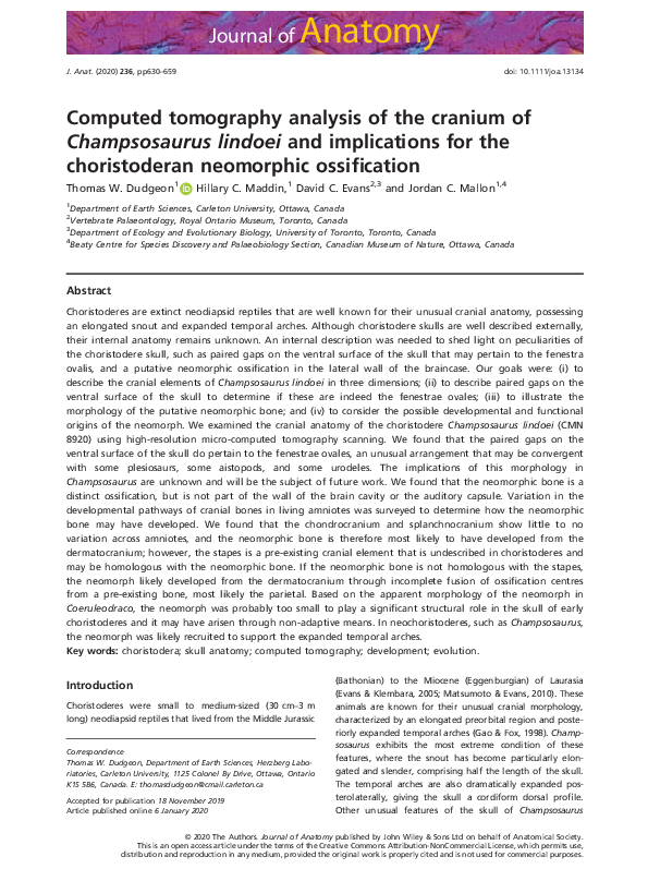 (PDF) Computed tomography analysis of the cranium of Champsosaurus ...