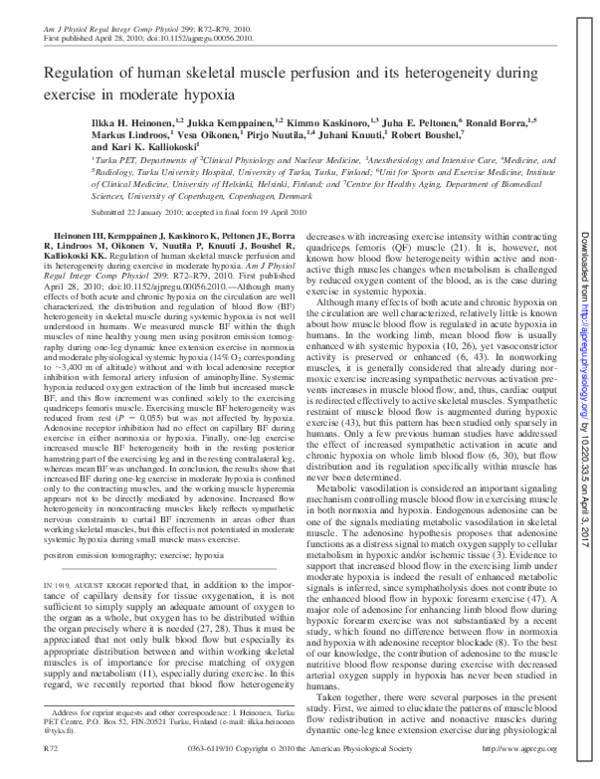 (PDF) Regulation of human skeletal muscle perfusion and its ...