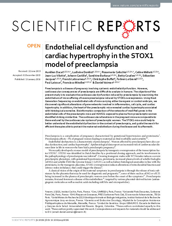 (PDF) Endothelial cell dysfunction and cardiac hypertrophy in the STOX1 ...