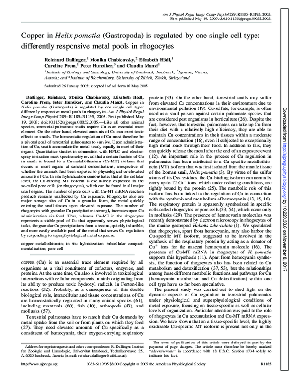 Copper in Helix pomatia (Gastropoda) is regulated by one single cell type: differently responsive metal pools in rhogocytes