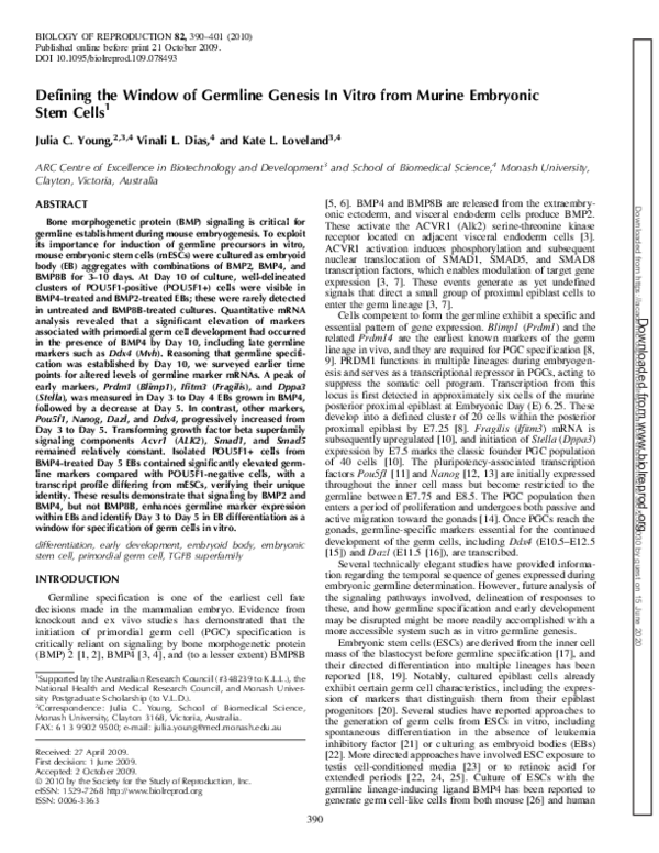 (PDF) Defining the Window of Germline Genesis In Vitro from Murine ...