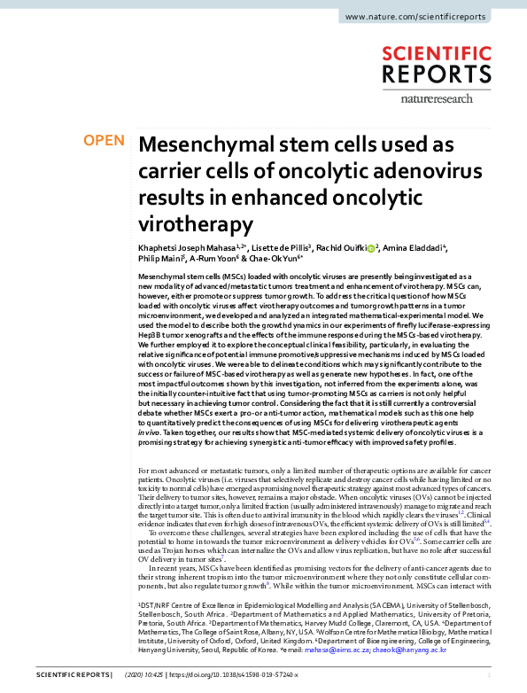 (PDF) Mesenchymal stem cells used as carrier cells of oncolytic ...