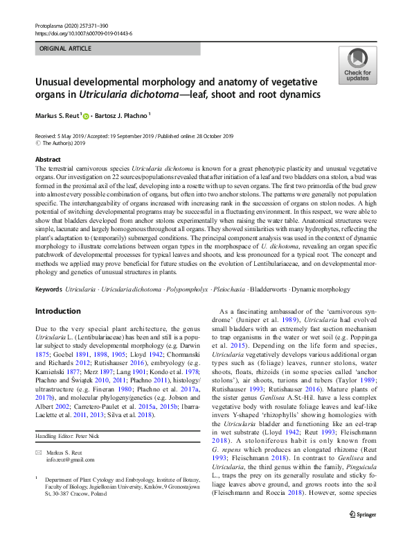 Plant Morphology And Anatomy Research Papers Academia Edu