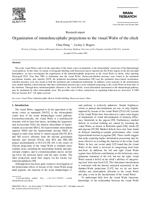 (PDF) Organization of intratelencephalic projections to the visual ...