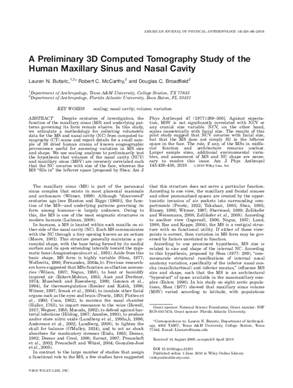 (PDF) A preliminary 3D computed tomography study of the human maxillary ...