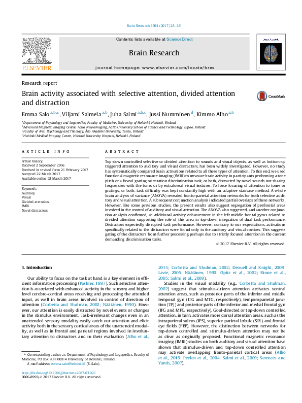 (PDF) Brain activity associated with selective attention, divided ...