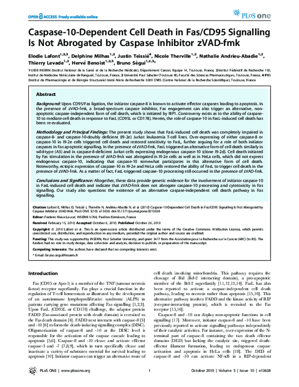 (PDF) Caspase-10-Dependent Cell Death in Fas/CD95 Signalling Is Not ...