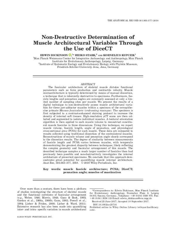 (PDF) Non-Destructive Determination of Muscle Architectural Variables ...