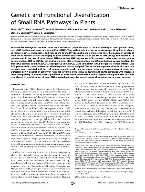 (PDF) Genetic and Functional Diversification of Small RNA Pathways in ...