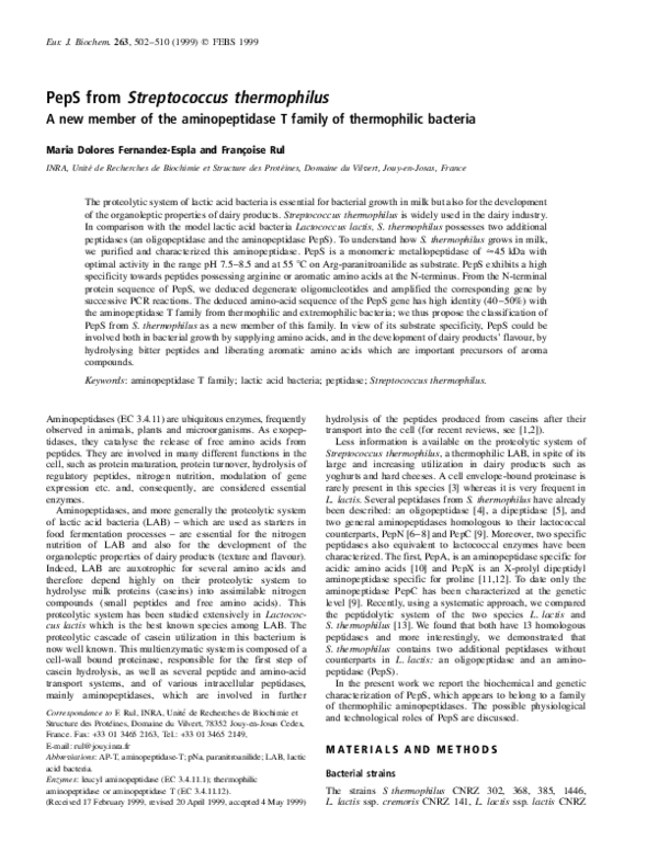(PDF) PepS from Streptococcus thermophilus . A new member of the ...