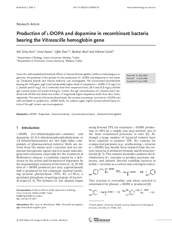 (PDF) Production of L‐DOPA and dopamine in recombinant bacteria bearing ...