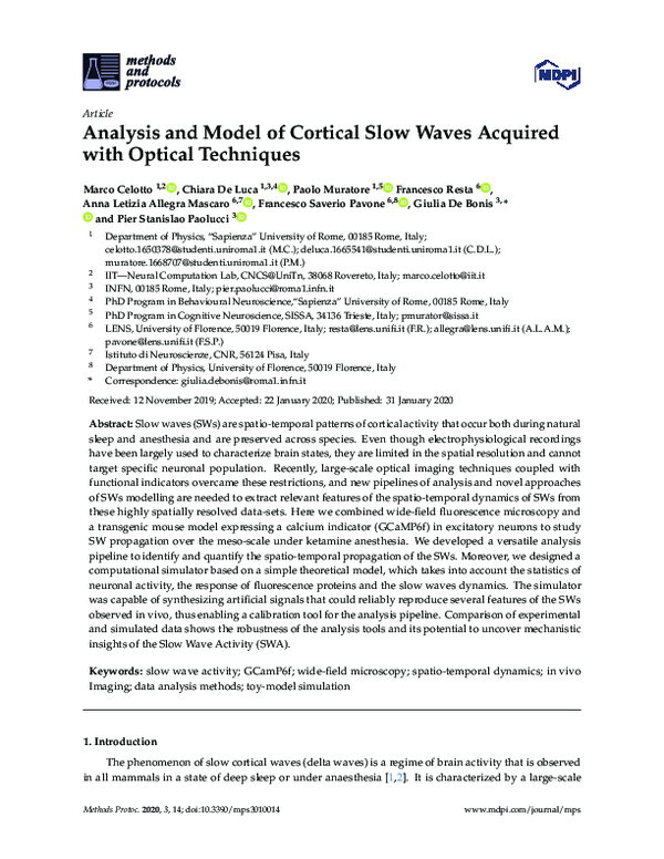 (PDF) Analysis and Model of Cortical Slow Waves Acquired with Optical ...