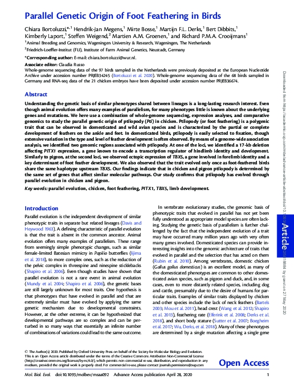 (PDF) Parallel Genetic Origin of Foot Feathering in Birds