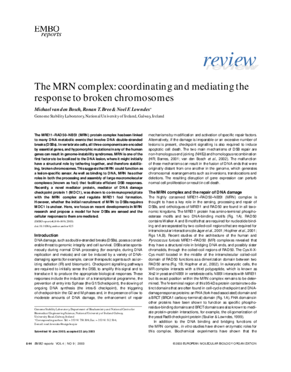 (PDF) The MRN complex: coordinating and mediating the response to ...