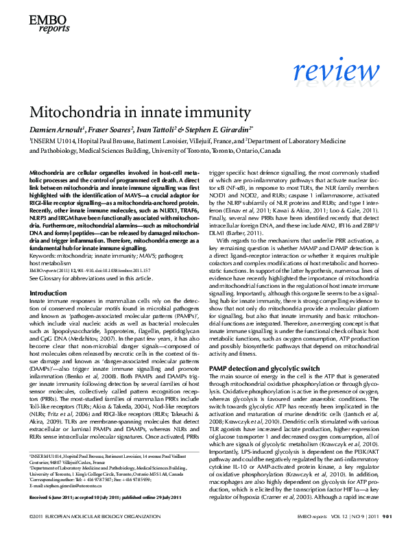 (PDF) Mitochondria in innate immunity
