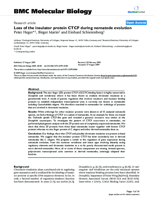 (PDF) Loss of the insulator protein CTCF during nematode evolution