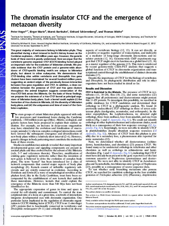 (PDF) The chromatin insulator CTCF and the emergence of metazoan diversity