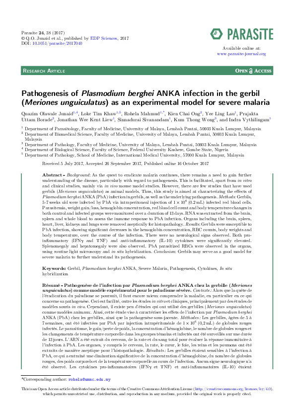 (PDF) Pathogenesis of Plasmodium berghei ANKA infection in the gerbil ...
