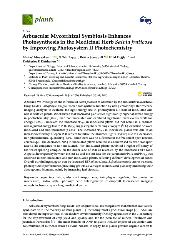 (PDF) Arbuscular Mycorrhizal Symbiosis Enhances Photosynthesis in the ...
