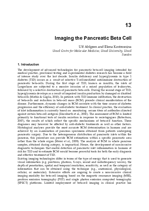 (PDF) Imaging the Pancreatic Beta Cell