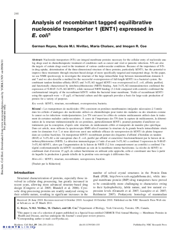 (PDF) Analysis of recombinant tagged equilibrative nucleoside ...