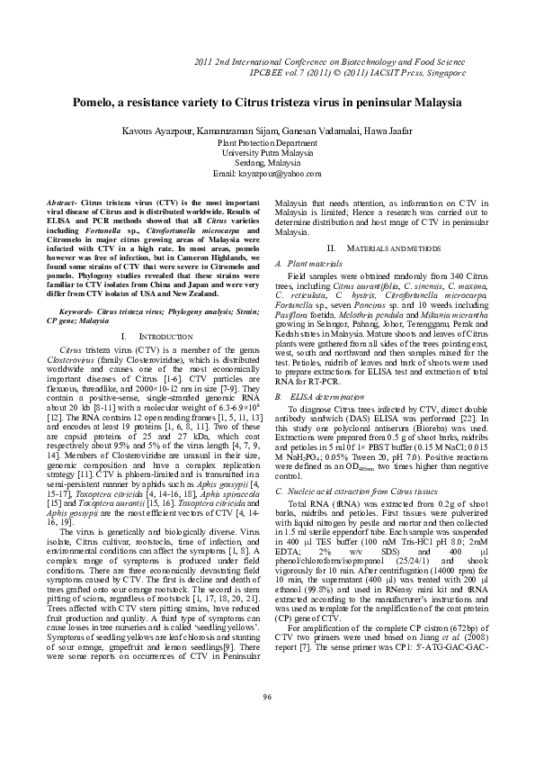 (PDF) Pomelo, a resistance variety to Citrus tristeza virus in