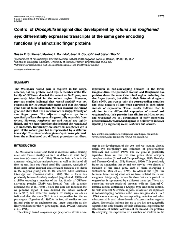 (PDF) Control of Drosophila imaginal disc development by rotund and ...