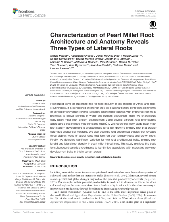 (PDF) Characterization of Pearl Millet Root Architecture and Anatomy