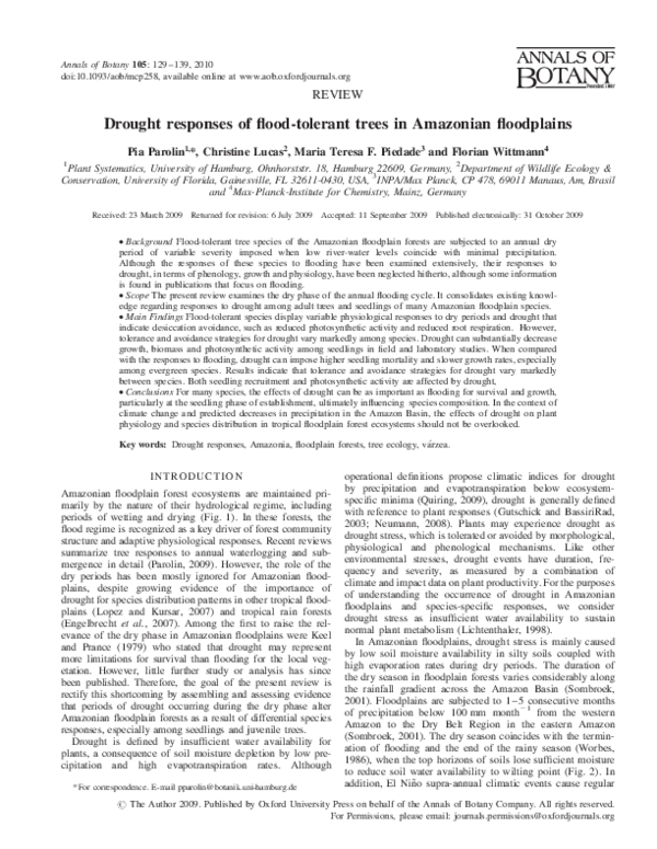 (PDF) Drought responses of flood-tolerant trees in Amazonian floodplains