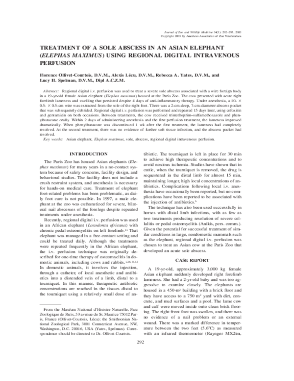 (PDF) Treatment of a Sole Abscess in an Asian Elephant (Elephas Maximus ...