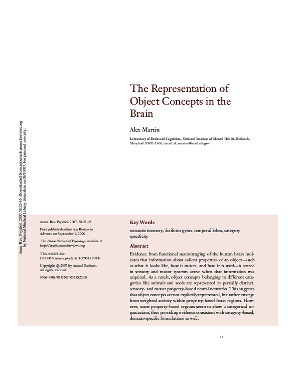 (PDF) The Representation of Object Concepts in the Brain