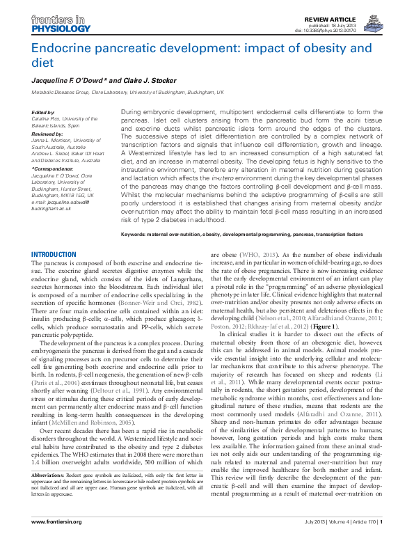 (PDF) Endocrine pancreatic development: impact of obesity and diet