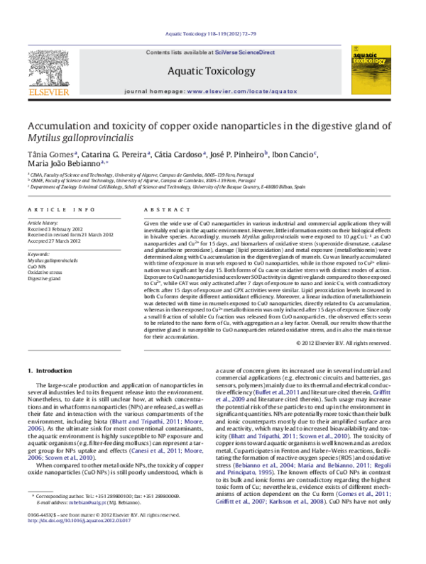 (PDF) Accumulation and toxicity of copper oxide nanoparticles in the ...