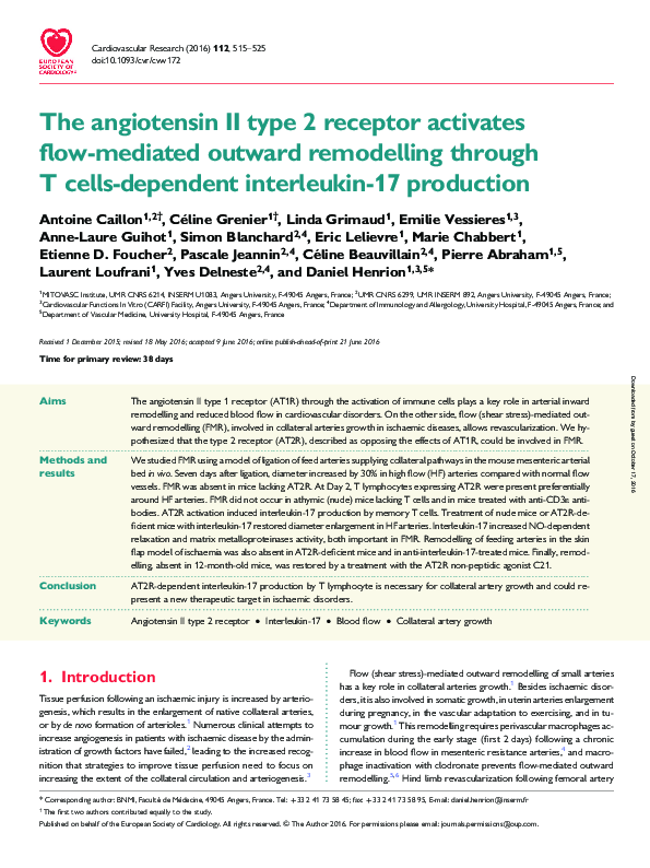 (PDF) The angiotensin II type 2 receptor activates flow-mediated ...